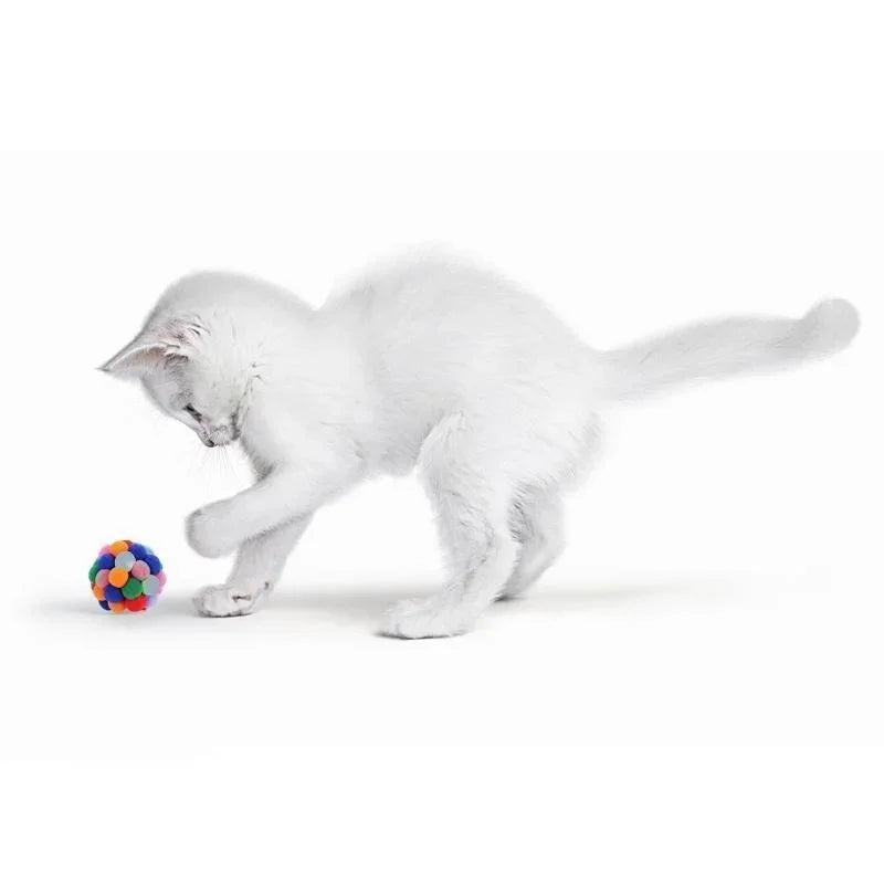 Pet Toy Cat Toys